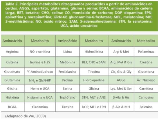 Limitaciones para la eficiencia en el uso de aminoácidos para el crecimiento y Sistema Inmune Porcino (I) - Image 5