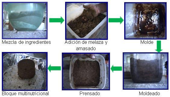 Elaboración de bloques multinutricionales para alimentación de bovinos, usando contenido ruminal e ingredientes minerales. - Image 3