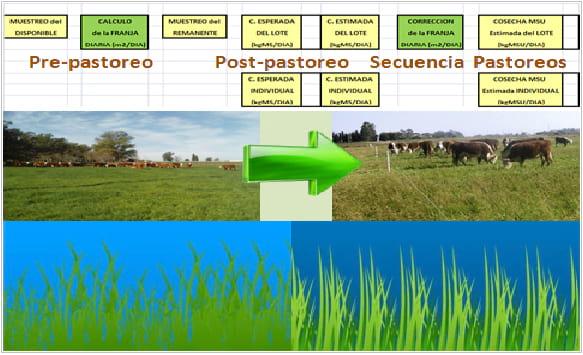 Evolución interanual del contenido de materia seca en evaluaciones forrajeras por cortes de pasturas cultivadas del Uruguay - Image 2