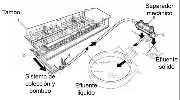 Alternativas en Manejo de Purines y Efluentes en Tambos - Image 39