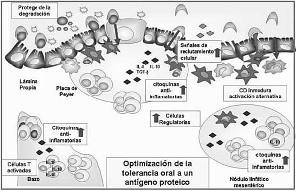 Epidemiologia de las enfermedades transmitidas por los alimentos - Eta(s) - Image 18