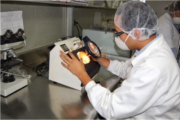 Epidemiologia de las enfermedades transmitidas por los alimentos - Eta(s) - Image 10