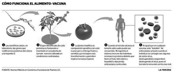 Epidemiologia de las enfermedades transmitidas por los alimentos - Eta(s) - Image 21