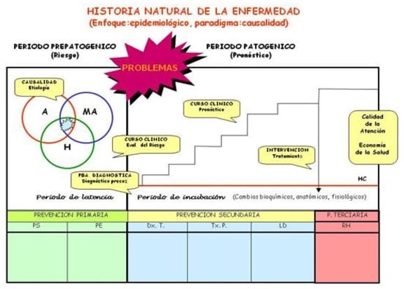 Epidemiologia de las enfermedades transmitidas por los alimentos - Eta(s) - Image 6