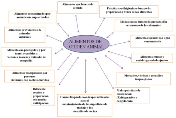 Epidemiologia de las enfermedades transmitidas por los alimentos - Eta(s) - Image 9