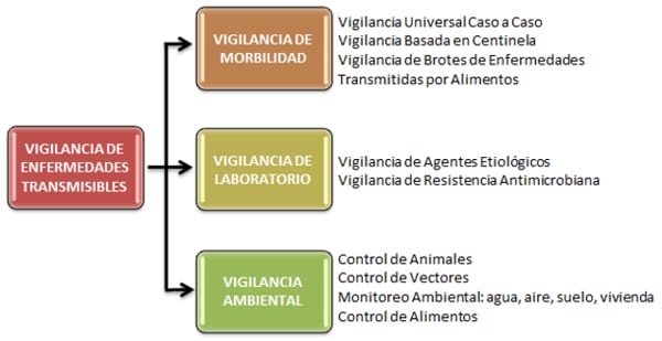 Epidemiologia de las enfermedades transmitidas por los alimentos - Eta(s) - Image 1