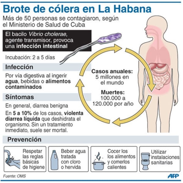 Epidemiologia de las enfermedades transmitidas por los alimentos - Eta(s) - Image 17