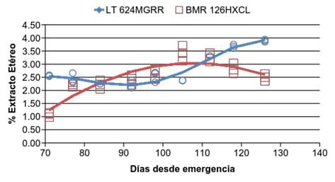 Comparación del maíz granífero en relación al híbrido BMR para ensilaje - Image 11
