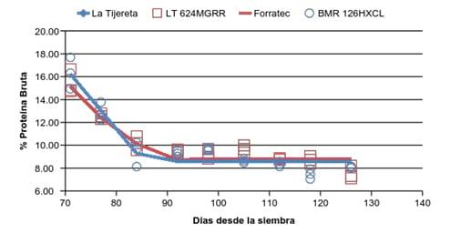 Comparación del maíz granífero en relación al híbrido BMR para ensilaje - Image 7