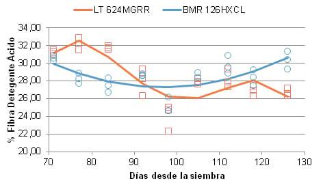 Comparación del maíz granífero en relación al híbrido BMR para ensilaje - Image 9