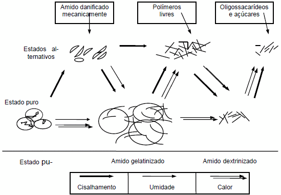 Extrusión termoplástica de almidones y productos amiláceos - Image 1