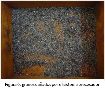 Procesadores de granos específicos para cultivo de sorgo - Image 7