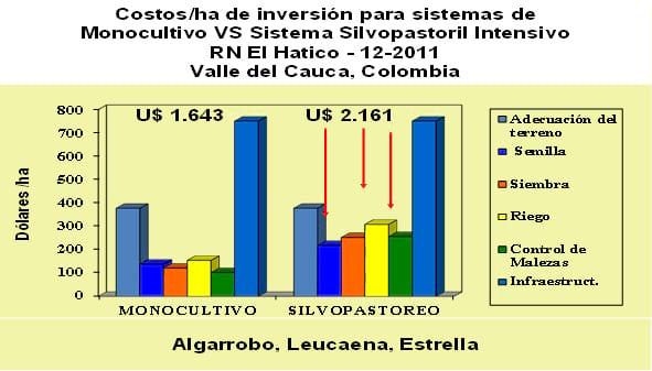 Principales limitantes y opciones para estimular la adopción de sistemas silvopastoriles comerciales en Centro y Sur América - Image 1