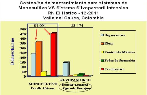 Principales limitantes y opciones para estimular la adopción de sistemas silvopastoriles comerciales en Centro y Sur América - Image 2