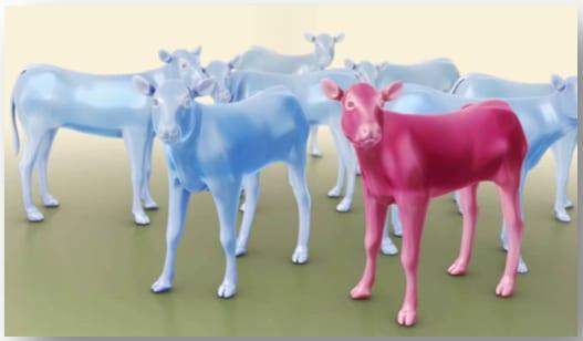 Un panorama sobre la muerte embrionaria en el ganado bovino - Image 10