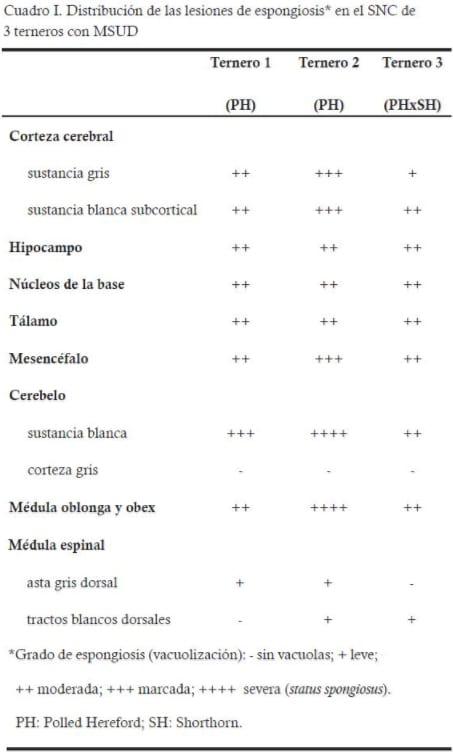 MSUD (Maple Syrup Urine Disease) en terneros Polled Hereford y cruzas Polled Hereford x Shorthorn en Uruguay - Image 3