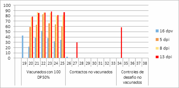 Evaluación de la eficacia, transmisión y replicación de una vacuna viva lapinizada contra la Peste Porcina Clásica - Image 14