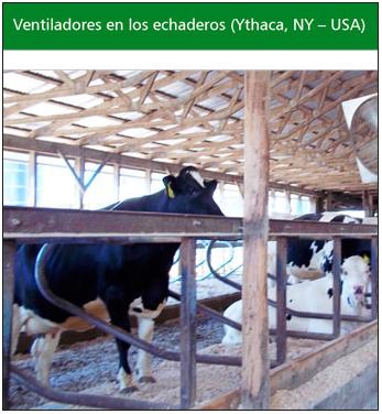 Estrés de calor en bovinos lecheros en el Perú - Image 3