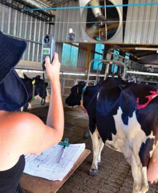 Claves para mantener altos niveles de producción en verano, Jornada de lechería en la Estanzuela - Image 5