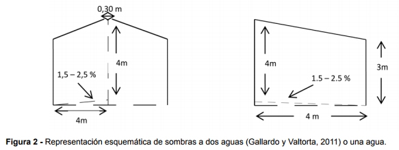 Estrés térmico en vacas lecheras: con sombra y bienestar las vacas producen más - Image 2