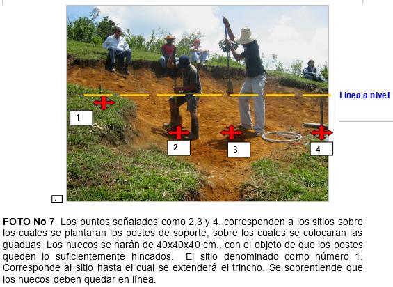 Practica de construccion de trinchos en guadua (guadua angustifolia), como tecnicas mecanicas para la recuperacion de suelos en el municipio de jamundi (Valle del Cauca. Colombia) - Image 7