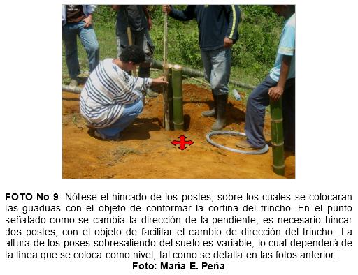 Practica de construccion de trinchos en guadua (guadua angustifolia), como tecnicas mecanicas para la recuperacion de suelos en el municipio de jamundi (Valle del Cauca. Colombia) - Image 9