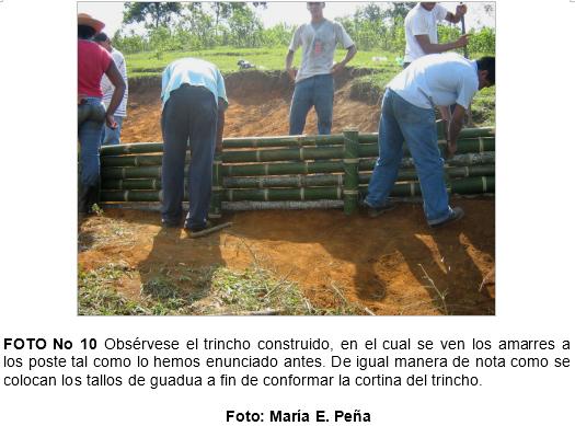 Practica de construccion de trinchos en guadua (guadua angustifolia), como tecnicas mecanicas para la recuperacion de suelos en el municipio de jamundi (Valle del Cauca. Colombia) - Image 10