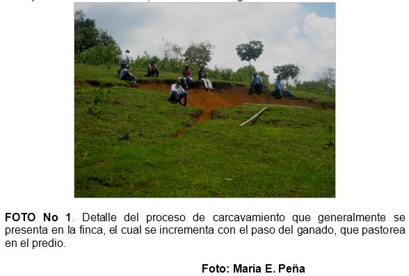 Practica de construccion de trinchos en guadua (guadua angustifolia), como tecnicas mecanicas para la recuperacion de suelos en el municipio de jamundi (Valle del Cauca. Colombia) - Image 1