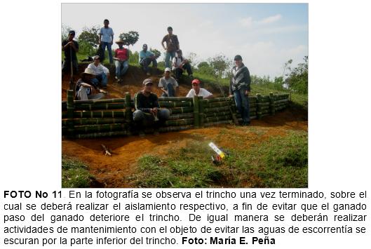 Practica de construccion de trinchos en guadua (guadua angustifolia), como tecnicas mecanicas para la recuperacion de suelos en el municipio de jamundi (Valle del Cauca. Colombia) - Image 11