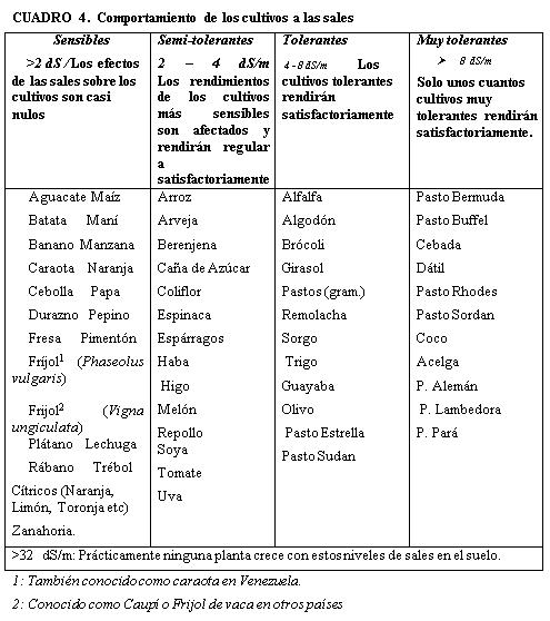 Caracterización y manejo de suelos y aguas afectadas por sales - Image 18