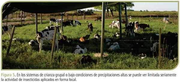 Guía para el control de los parásitos externos en bovinos de leche del área central de la Argentina (Ficha 1) - Image 4