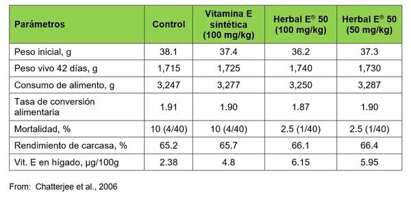 Beneficios de la suplementación con Vitamina E natural - Image 3