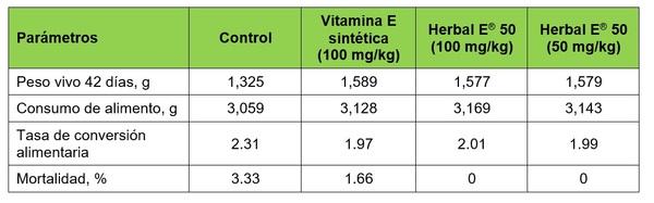 Beneficios de la suplementación con Vitamina E natural - Image 4