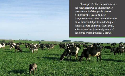 Estrategias de alimentación de vacas lecheras en pastoreo: ¿qué hemos aprendido de los sistemas comerciales y qué hemos generado desde la investigación en uruguay? - Image 9
