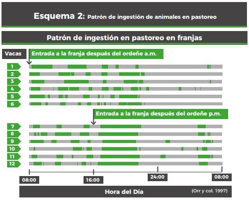 Estrategias de alimentación de vacas lecheras en pastoreo: ¿qué hemos aprendido de los sistemas comerciales y qué hemos generado desde la investigación en uruguay? - Image 6