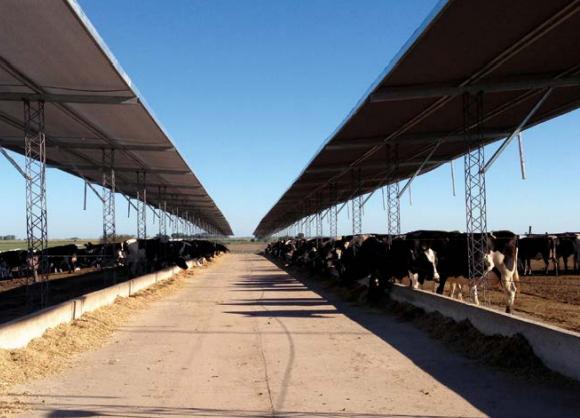 Estrategias de alimentación de vacas lecheras en pastoreo: ¿qué hemos aprendido de los sistemas comerciales y qué hemos generado desde la investigación en uruguay? - Image 3