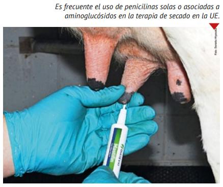 La leche de descarte en la mira de la resistencia a los antibióticos - Image 1