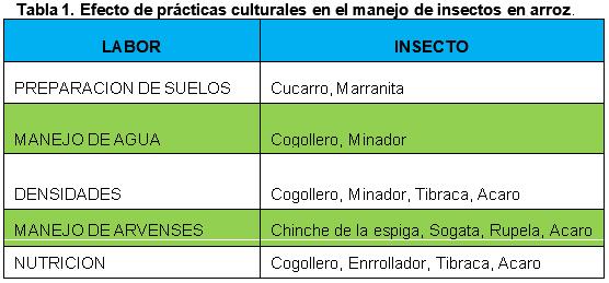 Alternativas de manejo ecologico de insectos en el cultivo del arroz en Colombia - Image 5