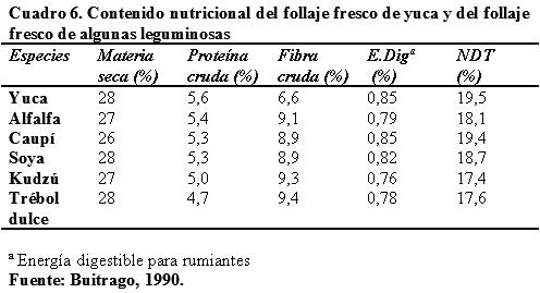 La yuca (manihot sculenta) como suplemento alimenticio para rumiantes y otras especies animales - Image 8