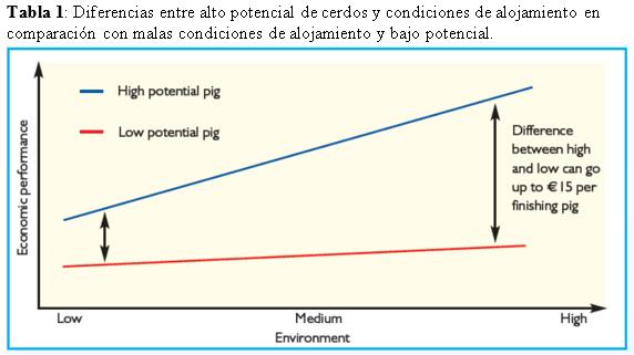 Gestión y manejo del cebo en ganado porcino - Image 3
