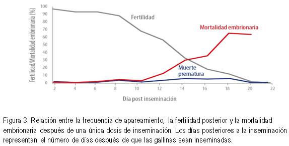 Fertilización y mortalidad embrionaria. ¿Cuál es la relación? - Image 6