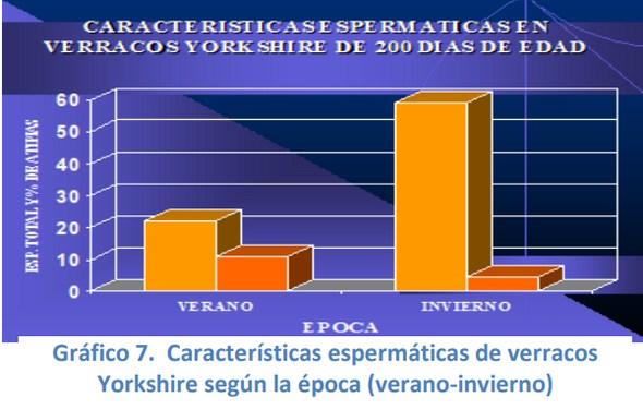 Comportamiento reproductivo del cerdo en Venezuela efecto de la época - Image 7