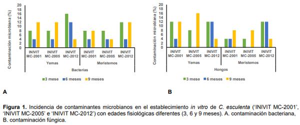 Influencia de la edad fisiológica de la planta donante sobre contaminantes microbianos en la micropropagacion de Colocasia Esculenta (l.) Schott - Image 1