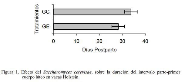 Efecto de la suplementación con Saccharomyces cerevisiae sobre el comportamiento reproductivo en rebaños lecheros de la zona alta del estado Mérida - Image 4