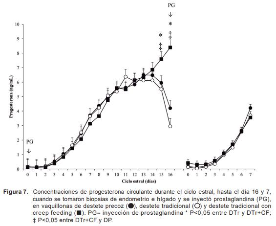 Efecto de mediano plazo de la nutrición sobre parámetros endócrinos y la expresión de genes del eje somatotrófico en edometrio e hígado en vaquillonas hereford - Image 1