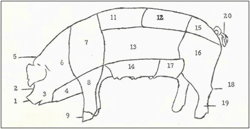 Guía de Selección de Reproductores y Sistemas de Cruces en Ganado Porcino - Image 6