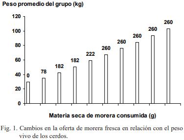 Evaluación del consumo de morera fresca (Morus alba) en reproductoras porcinas mestizas - Image 2