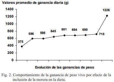 Evaluación del consumo de morera fresca (Morus alba) en reproductoras porcinas mestizas - Image 3
