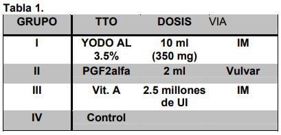 Yodo, Hormonas tiroideas y Reproducción Bovina - Image 2
