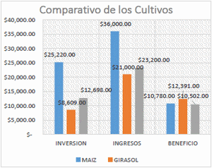 Analisis de la rentabilidad de la produccion de sorgo (sorghum bicolor l. Moench) y girasol (helianthus annuus l.) vs maiz blanco (zea mays) en la region del Valle de Guasave, Sinaloa - Image 5